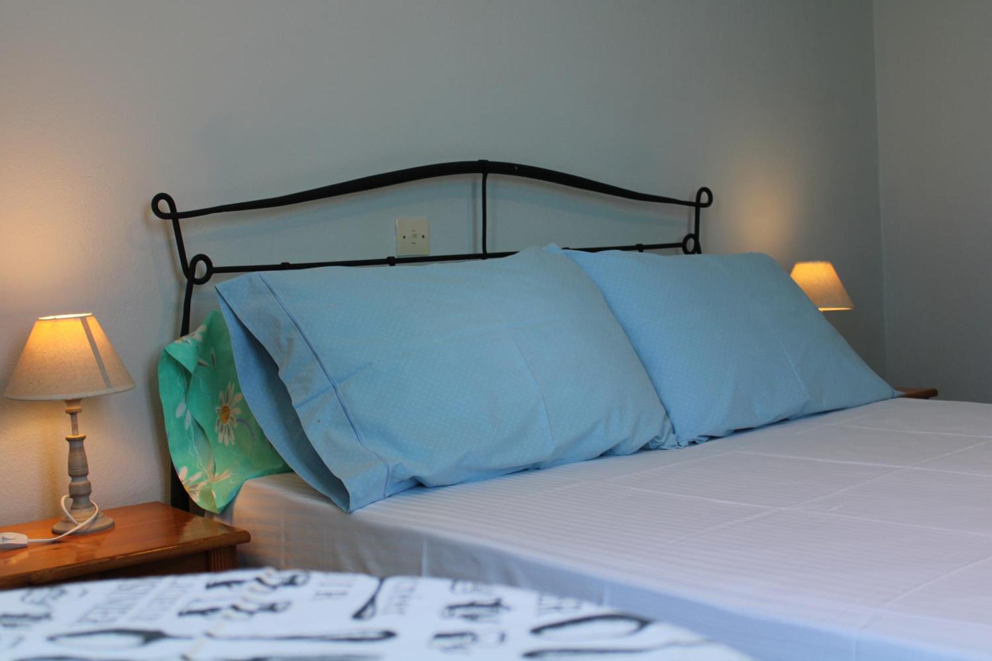 Blue Dolphin Hotel Batsi  Bagian luar foto